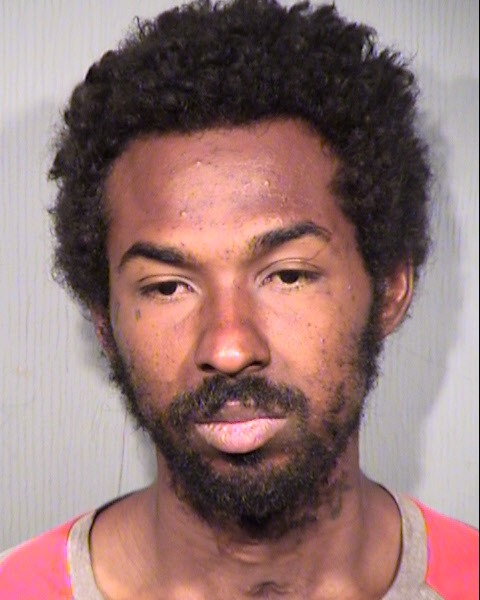 SHAWN ROSS SPRINGS Mugshot / Maricopa County Arrests / Maricopa County Arizona