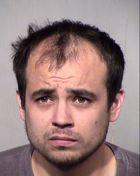 BRANDON TYLER WEBER Mugshot / Maricopa County Arrests / Maricopa County Arizona