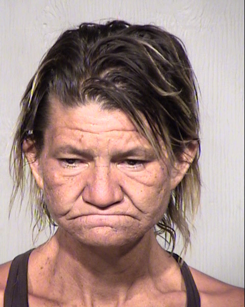 NANCY LYNN COMBS Mugshot / Maricopa County Arrests / Maricopa County Arizona