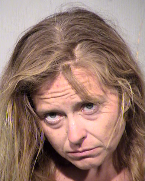 ANDREA ELLEN MITCHELL Mugshot / Maricopa County Arrests / Maricopa County Arizona