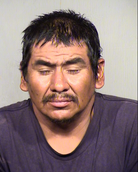 HARRY ELTHIE Mugshot / Maricopa County Arrests / Maricopa County Arizona