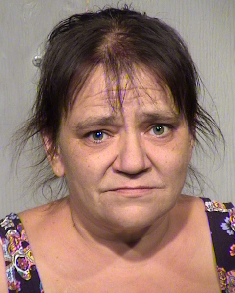 CHRISTANNA DANNER Mugshot / Maricopa County Arrests / Maricopa County Arizona