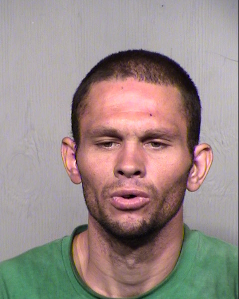 SEAN PATRICK WOODS Mugshot / Maricopa County Arrests / Maricopa County Arizona