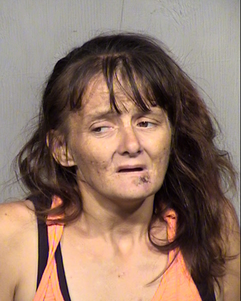 MELISSA ARLENE DILL Mugshot / Maricopa County Arrests / Maricopa County Arizona