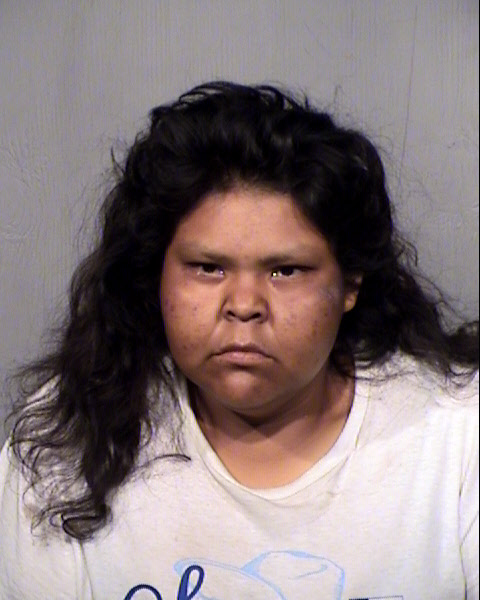IRENE ELAINE CONTRERAS Mugshot / Maricopa County Arrests / Maricopa County Arizona