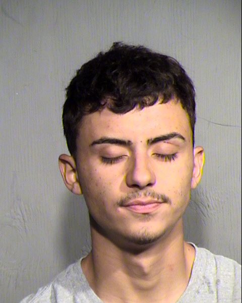 ELOY MARINELARENA Mugshot / Maricopa County Arrests / Maricopa County Arizona