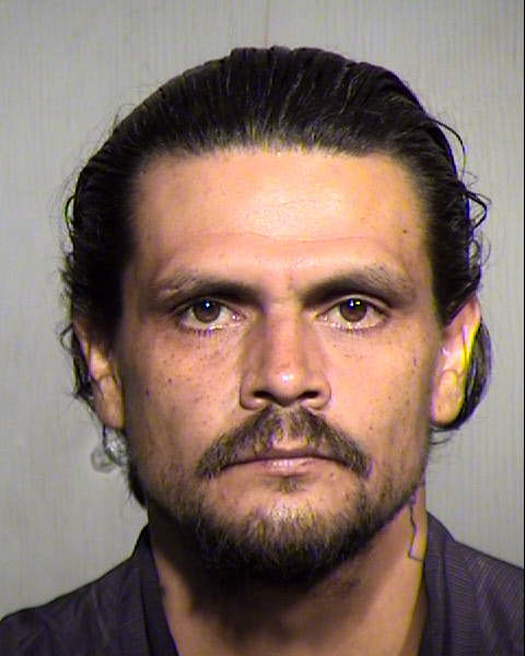 MICHAEL STEVEN PERRIN Mugshot / Maricopa County Arrests / Maricopa County Arizona