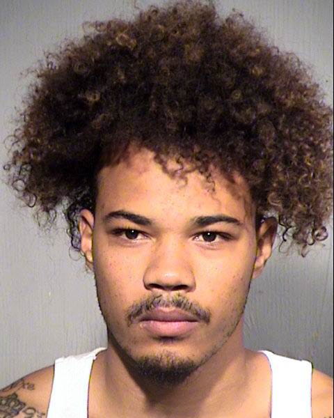 MATTHEW XAVIER ROBINSON Mugshot / Maricopa County Arrests / Maricopa County Arizona