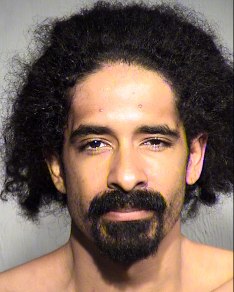 OBIE LOU VE LL PERRY Mugshot / Maricopa County Arrests / Maricopa County Arizona