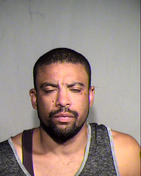 JESSE GENE HOWARD Mugshot / Maricopa County Arrests / Maricopa County Arizona