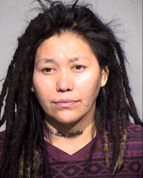 ALVINA DINEYAZHE Mugshot / Maricopa County Arrests / Maricopa County Arizona