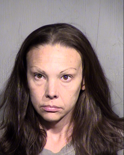 CHRISTINA MARIE MEJIA Mugshot / Maricopa County Arrests / Maricopa County Arizona