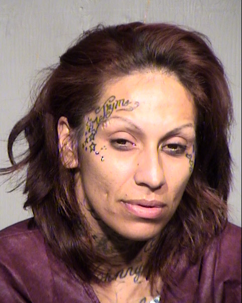 GLORIA ANN CARNERO Mugshot / Maricopa County Arrests / Maricopa County Arizona