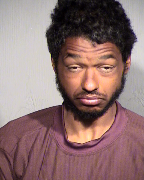 TAYLOR DARREN WATKINS Mugshot / Maricopa County Arrests / Maricopa County Arizona