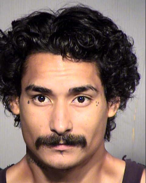 DAVID LEE TORRES Mugshot / Maricopa County Arrests / Maricopa County Arizona