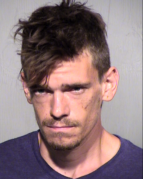TIMOTHY MICHAEL LAWSON Mugshot / Maricopa County Arrests / Maricopa County Arizona