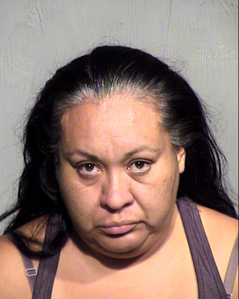 SANDRA MARAVILLA Mugshot / Maricopa County Arrests / Maricopa County Arizona