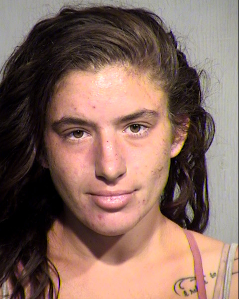 LAUREN ELYSE ROTHSCHILD Mugshot / Maricopa County Arrests / Maricopa County Arizona