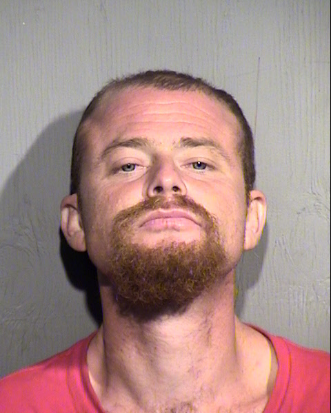 ERNEST LEE GAMMONS Mugshot / Maricopa County Arrests / Maricopa County Arizona