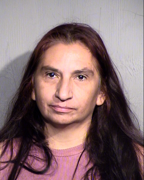 BERNADETTE SISTA CHAVEZ GOODMAN Mugshot / Maricopa County Arrests / Maricopa County Arizona