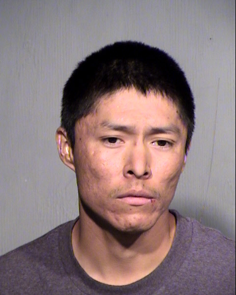 GARRICK CHARLIE DAVIS Mugshot / Maricopa County Arrests / Maricopa County Arizona