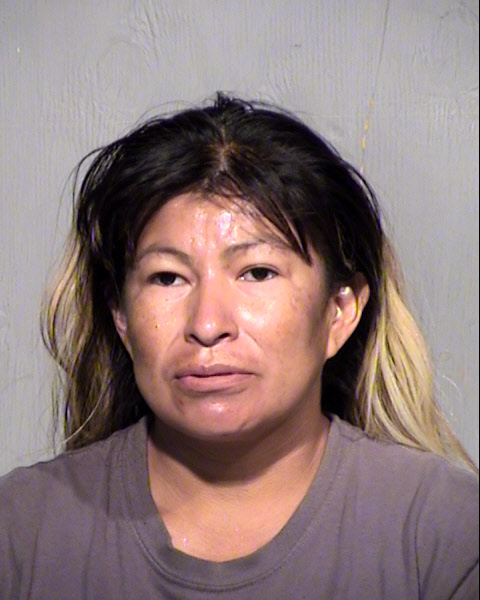 RENEE VANN NEZ Mugshot / Maricopa County Arrests / Maricopa County Arizona