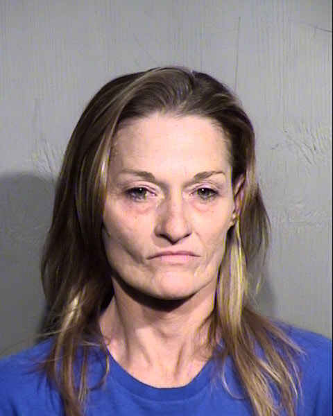 SUSAN P PARKER Mugshot / Maricopa County Arrests / Maricopa County Arizona