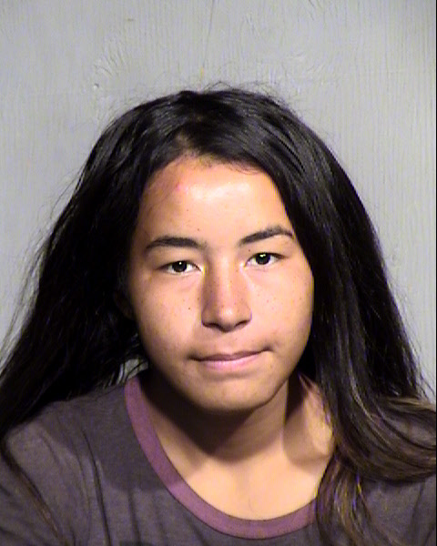 DALIA ASLEE RAMIREZ Mugshot / Maricopa County Arrests / Maricopa County Arizona