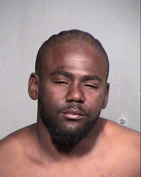 ROBERT BENJAMIN FIELDS Mugshot / Maricopa County Arrests / Maricopa County Arizona