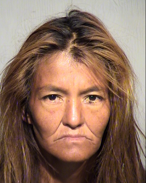 GINA ANN PERRY Mugshot / Maricopa County Arrests / Maricopa County Arizona
