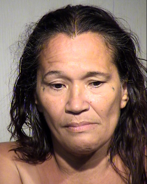 LISA MONA VALLEJOS Mugshot / Maricopa County Arrests / Maricopa County Arizona