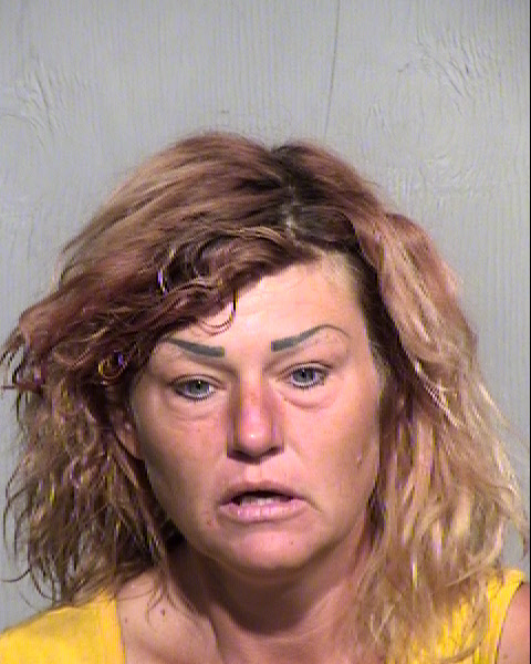 MELISSA LEE MASON Mugshot / Maricopa County Arrests / Maricopa County Arizona