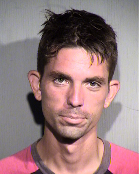 DARIE I NEDELCU Mugshot / Maricopa County Arrests / Maricopa County Arizona