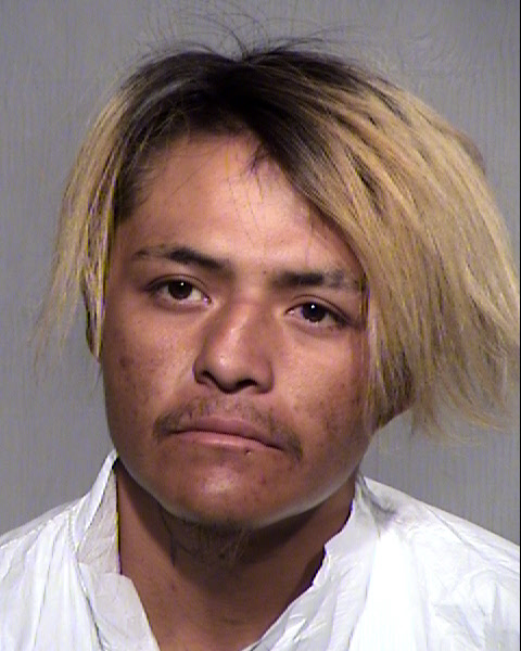 DELFRED LYNN CARROLL Mugshot / Maricopa County Arrests / Maricopa County Arizona Arrests DELFRED LYNN CARROLL Mugshot / Maricopa County Arrests / Maricopa County Arizona