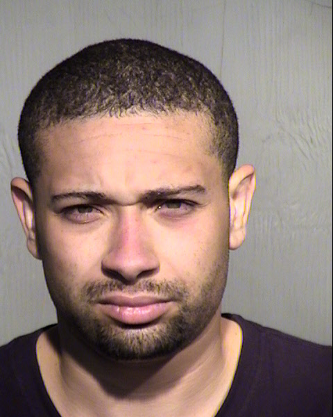 JOSHUA S ZERLAK Mugshot / Maricopa County Arrests / Maricopa County Arizona