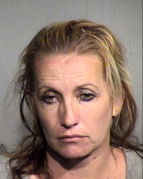 MISTY J DUNN Mugshot / Maricopa County Arrests / Maricopa County Arizona