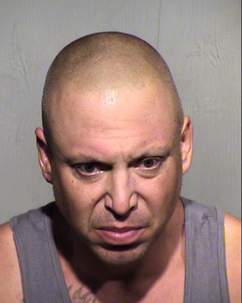 DAVID GEORGE LOWE Mugshot / Maricopa County Arrests / Maricopa County Arizona