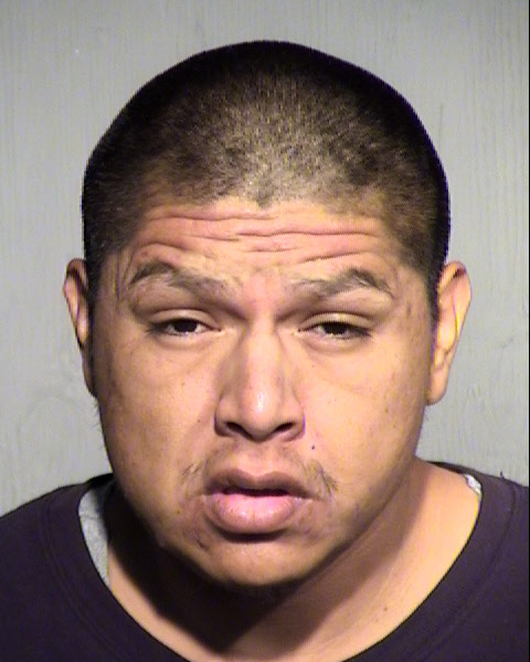 DYLAND G JOHNSON Mugshot / Maricopa County Arrests / Maricopa County Arizona