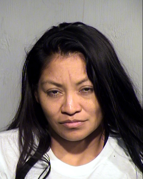 YMELDA ROSE SANCHEZ Mugshot / Maricopa County Arrests / Maricopa County Arizona