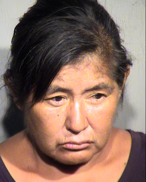 SONYA C SHAW Mugshot / Maricopa County Arrests / Maricopa County Arizona