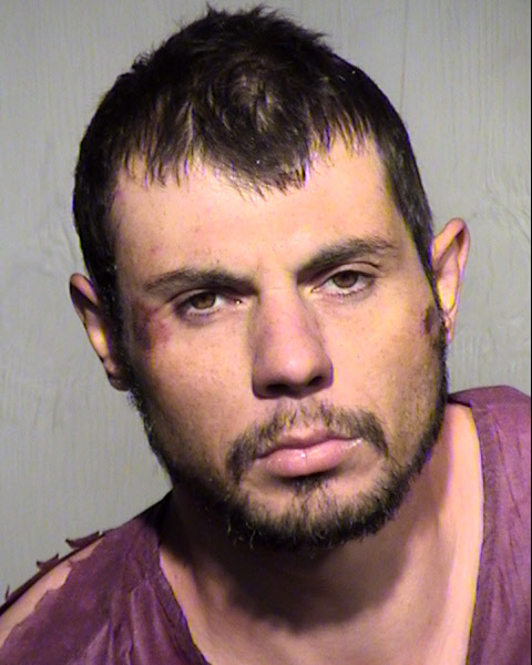 WILLIAM MATTHEW LAWRFISHER Mugshot / Maricopa County Arrests / Maricopa County Arizona