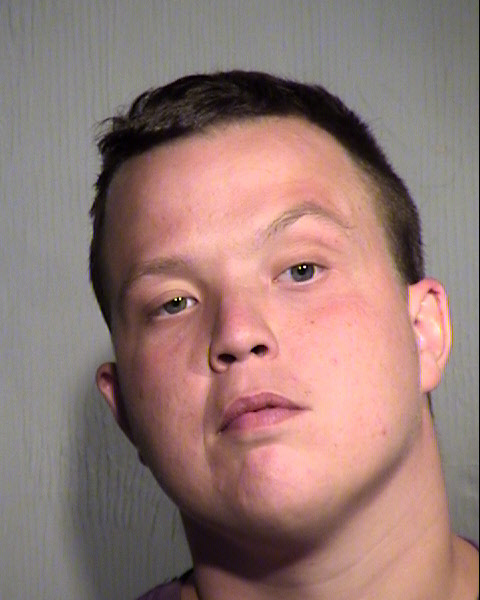 ERIC LEVIS Mugshot / Maricopa County Arrests / Maricopa County Arizona