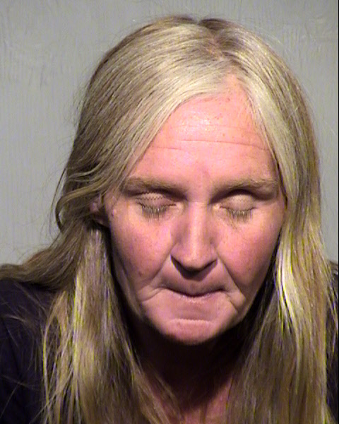 JULIE LORRAINE NELSON Mugshot / Maricopa County Arrests / Maricopa County Arizona