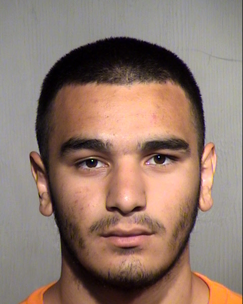 JULIAN WILLIAM GOW Mugshot / Maricopa County Arrests / Maricopa County Arizona