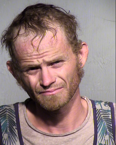 MICHAEL MCCLELLAND Mugshot / Maricopa County Arrests / Maricopa County Arizona