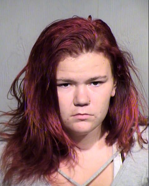 RAE ANN LIVELY Mugshot / Maricopa County Arrests / Maricopa County Arizona