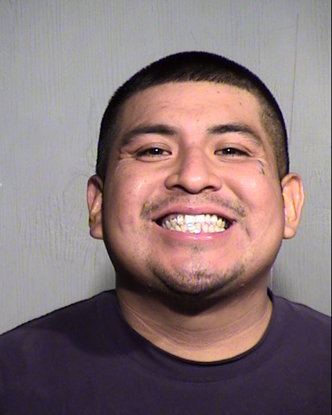 BRYAN M FLORES Mugshot / Maricopa County Arrests / Maricopa County Arizona