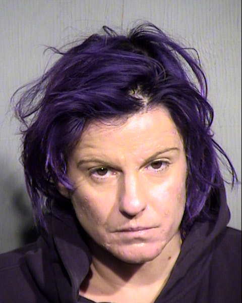 SANDRA JOHNSON Mugshot / Maricopa County Arrests / Maricopa County Arizona