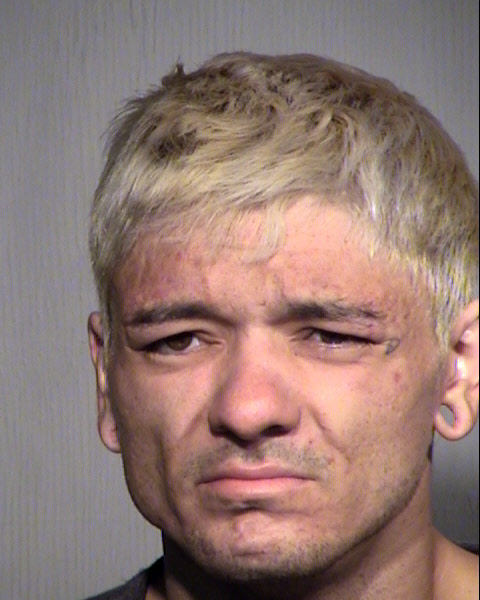 SHERIDAN PARKER DAMWIJK Mugshot / Maricopa County Arrests / Maricopa County Arizona