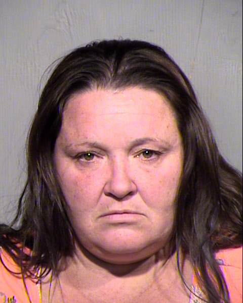 ROBIN ELIZABETH ROBINSON Mugshot / Maricopa County Arrests / Maricopa County Arizona